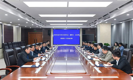 中國再生資源集團視頻會議
